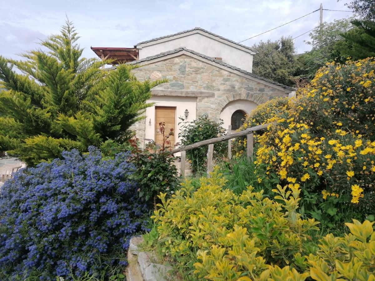 Logement De Charme Avec Piscine Privative Pino Exterior photo